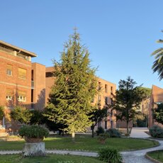 whatsapp image 2020-03-04 at 12